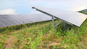 Bürgerinformationsveranstaltung in Auggen: Photovoltaik-Anlage an der B 3