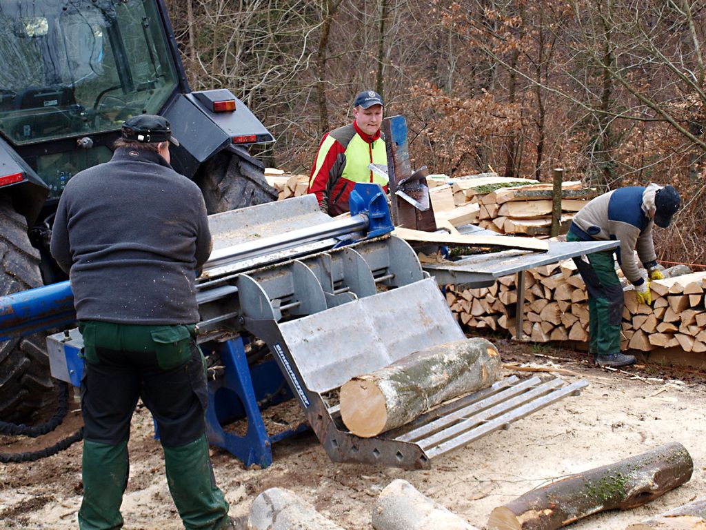 Lörrach: Wald mit hoher Erholungsfunktion