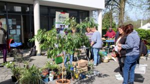 Efringen-Kirchen: Pflanzen, zu schade für den Kompost