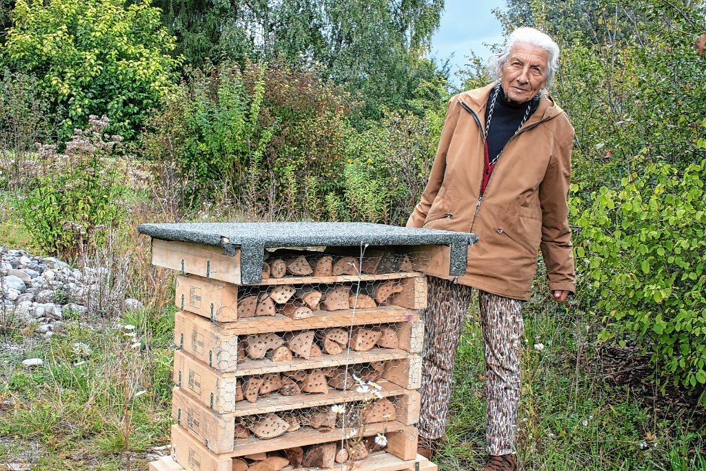 Steinen: Unterschlupf für Honiglieferanten