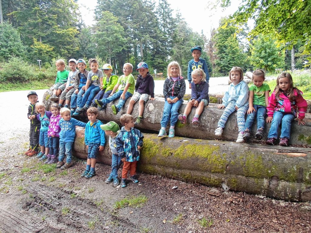 Kleines Wiesental: Waldtag im Kindergarten Wies