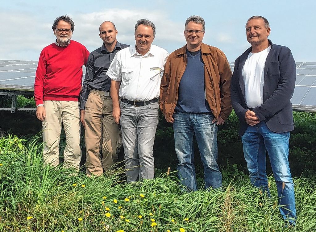 Rheinfelden: Frey freut sich über Solarpark