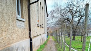 Schallbach: Zeecheclique bekommt Außenbereich für Vereinsheim