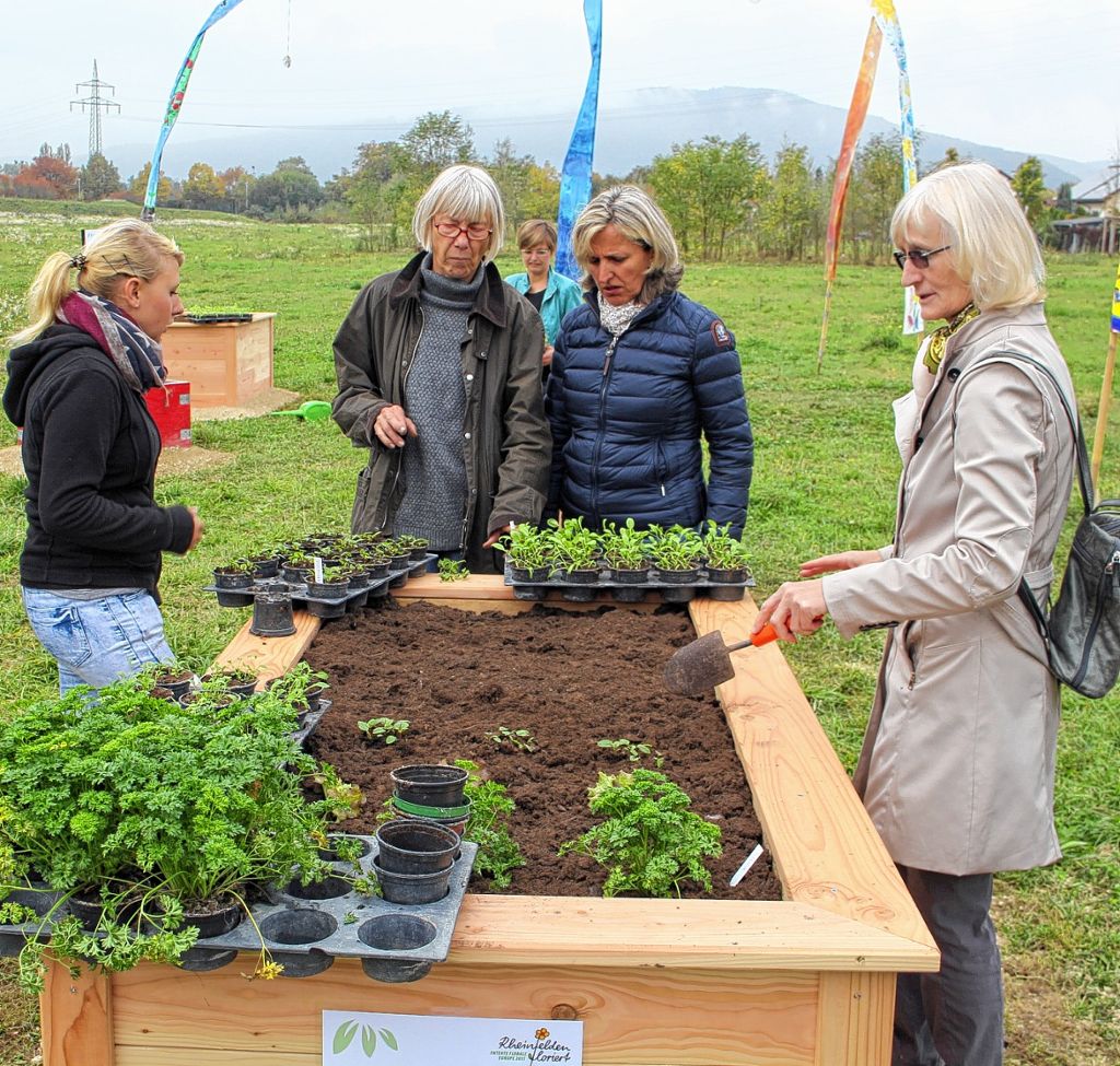Rheinfelden: Gärtnern ohne eigenen Garten