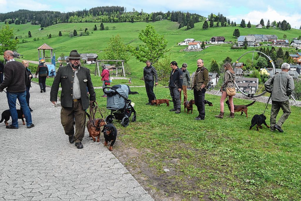 Todtnau: Hundefreundliches Bergdorf