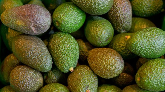 Welthandel: Umstrittene Superfrucht - Avocado-Boom in Deutschland