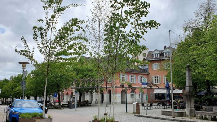 Schopfheim: Stadt sucht einen Wirtschaftsförderer