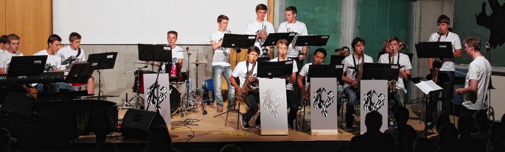 Neuenburg: Schüler zeigen beim Sommerkonzert musikalische Vielfalt am Kreisgymnasium