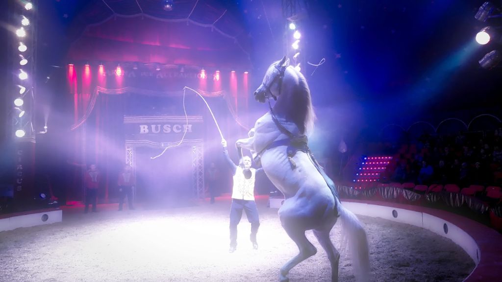 Weil am Rhein: Circus Paul Busch bietet bis Montag Artistik, Dressur und Clownerei