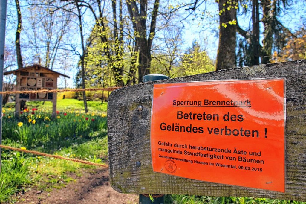 Hausen im Wiesental: „Brennet-Park“  Hausen: Gutachten liegt jetzt vor