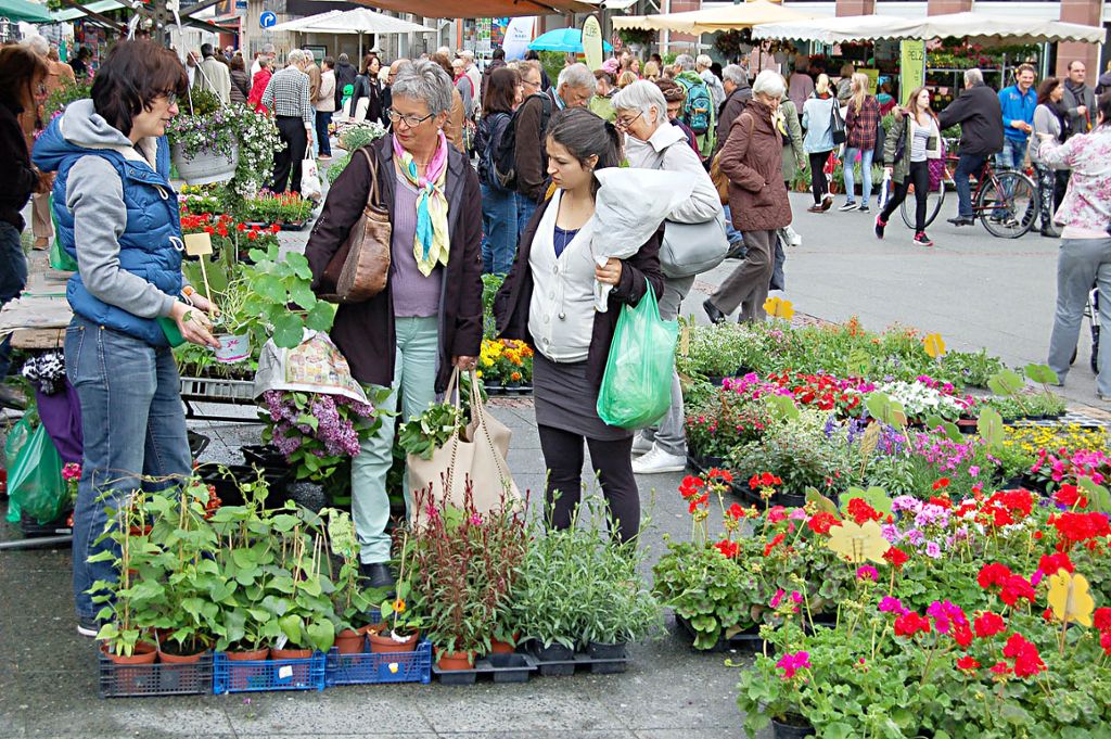 Lörrach: Blumenmarkt auf dem Alten Marktplatz