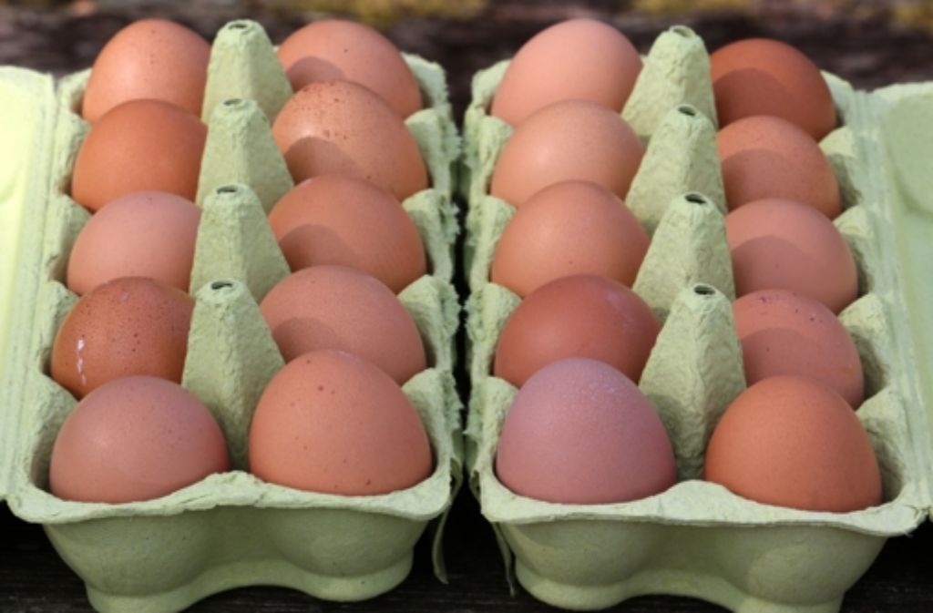 Preisschlacht bei Eiern: Das Hühner-Paradies hat seinen Preis
