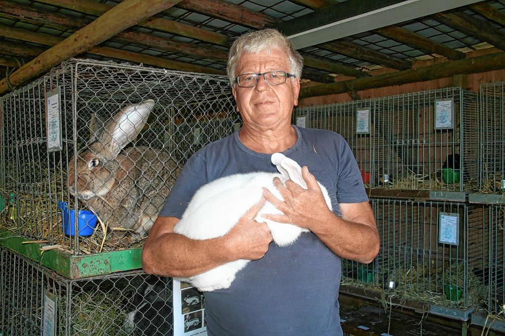 Hausen im Wiesental: Kaninchenschau mit wenig Resonanz