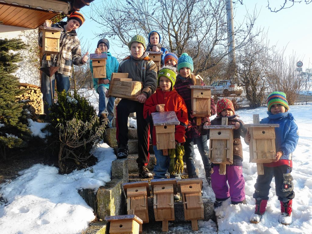 Schopfheim: Kinder bauen Nistkästen