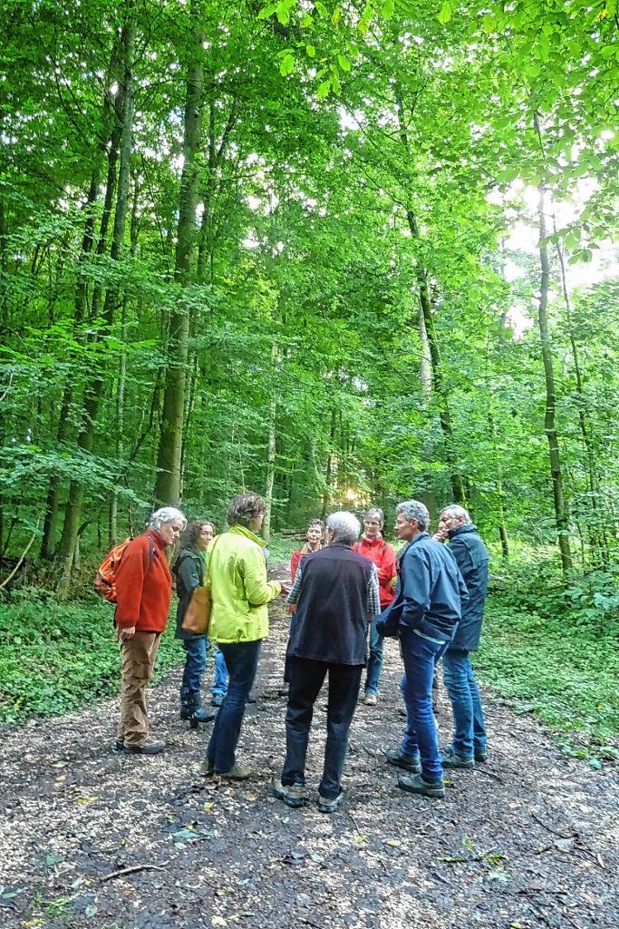 Schopfheim: Naturerlebnisse im „Wald“