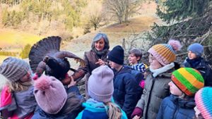 Nachbarschaftsschule Tegernau: Spielerisch Wald und Tiere entdecken