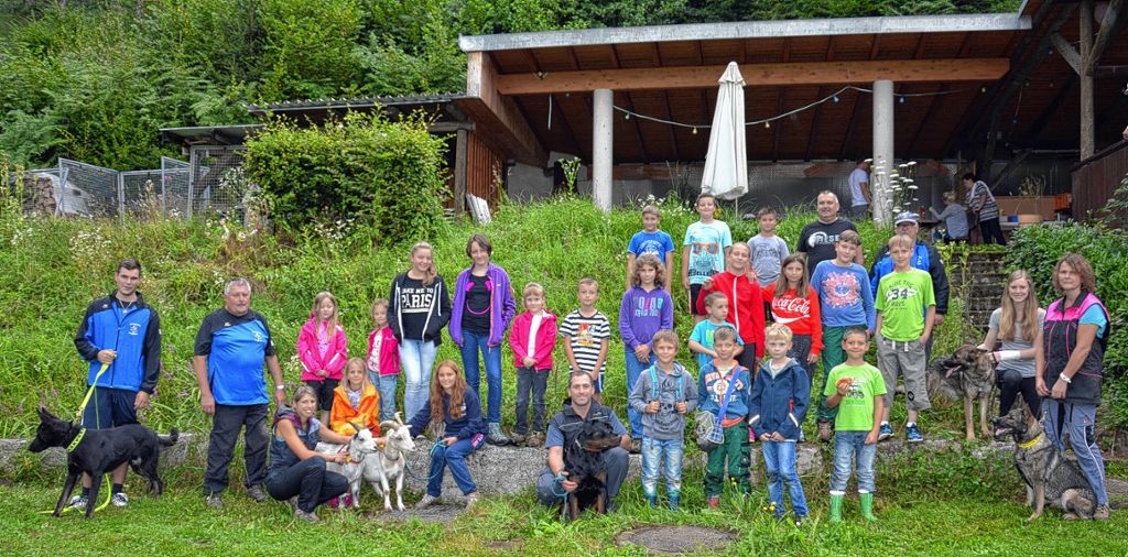 Schopfheim: Ein zahmer Wolf und zwei Ziegen