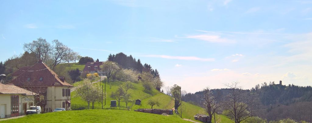 Malsburg-Marzell: Einheimische sollen bauen können
