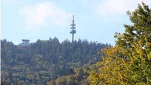 Malsburg-Marzell: Infoveranstaltung soll im Sommer sein