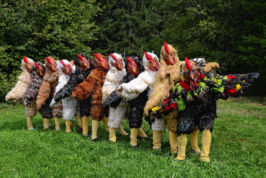 Zell im Wiesental: Zehn Hühner und ein Hahn