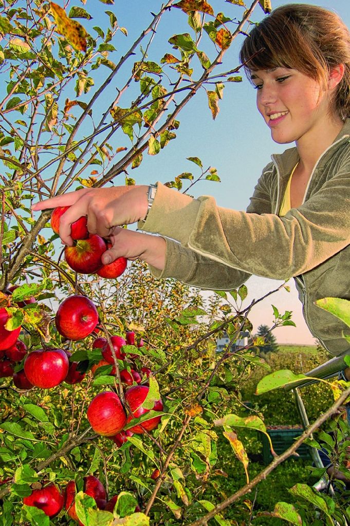 Kreis Lörrach: Obstbauern feiern Geburtstag