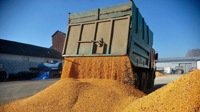 Import: Litauen dringt auf mehr Zölle für russische Lebensmittel