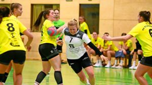 Handball: Weiter in der Erfolgsspur bleiben