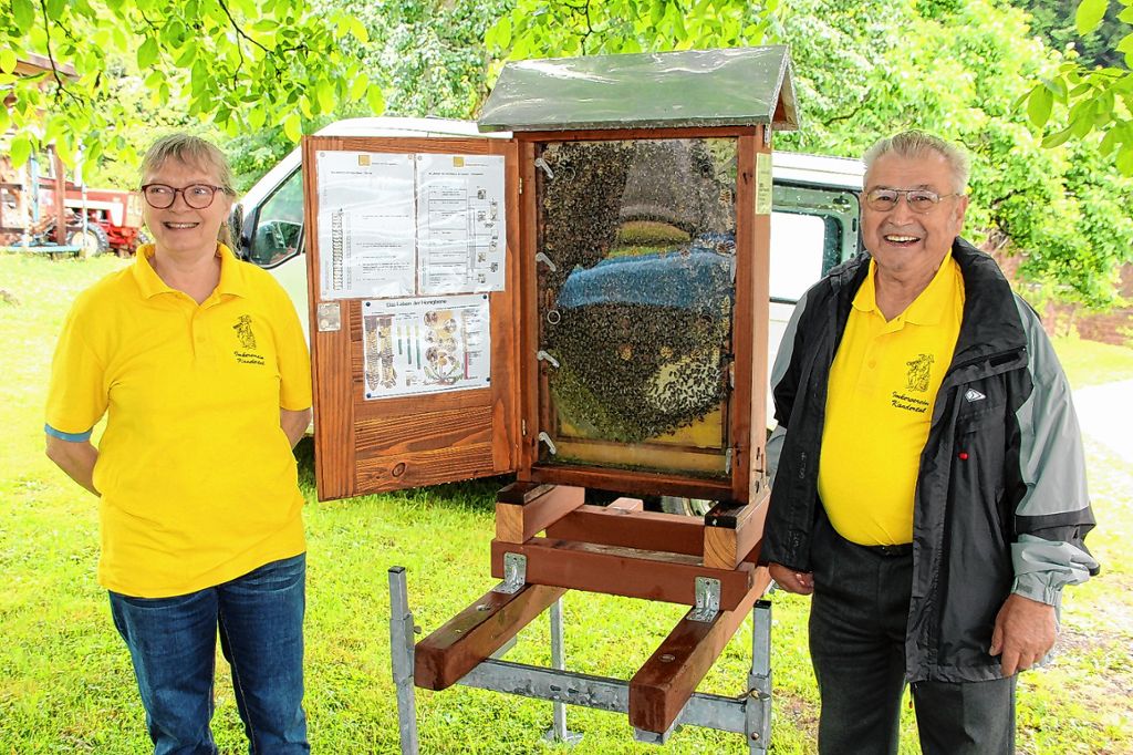 Malsburg-Marzell: Neue Bienenfreunde gewonnen