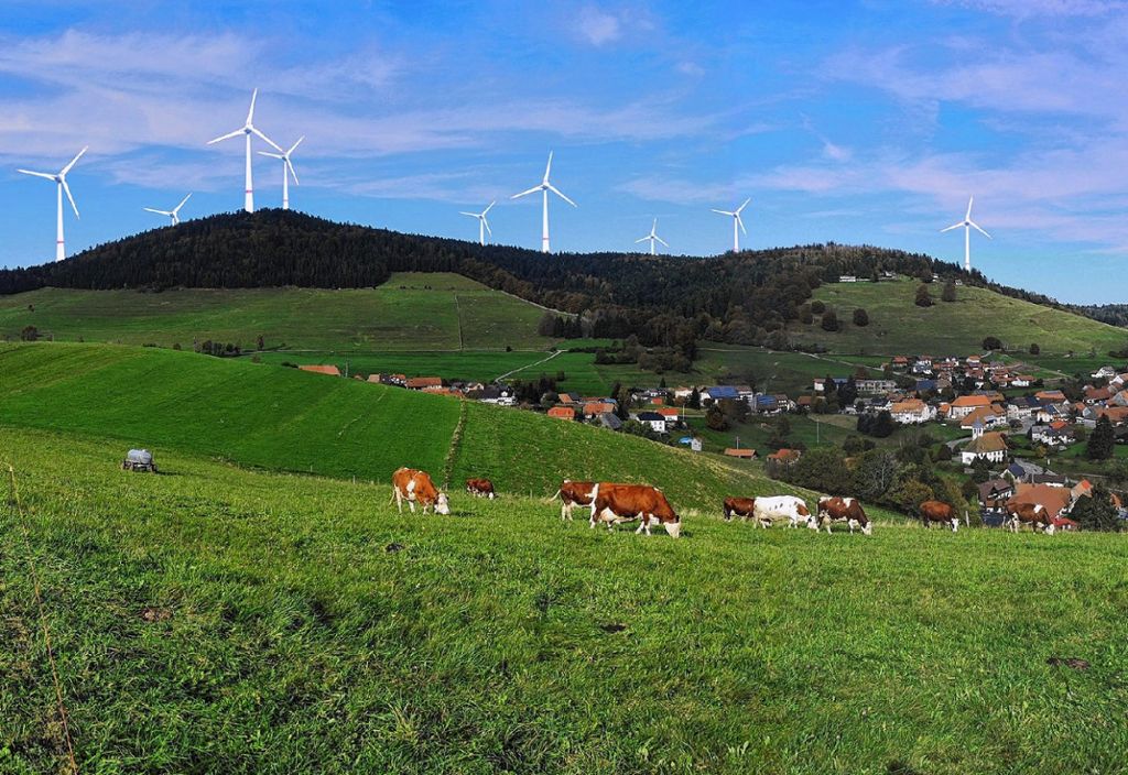 Schopfheim: Den Windmühlen die Flügel stutzen