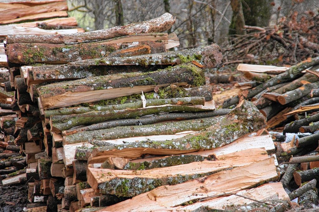 Maulburg: Holzversteigerung mit Wettkämpfen