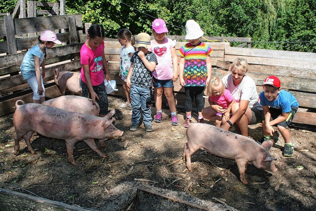 Schopfheim: Kleine Bio-Bauern füttern Tiere