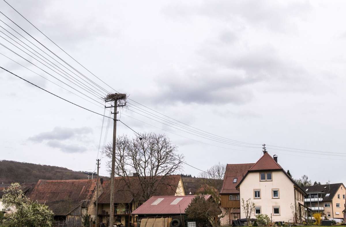 Schliengen: Störche bauen Nest auf Strommast