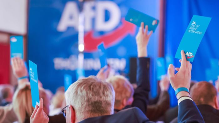 Parteien: AfD im Umfragehoch: Eine Ursachensuche