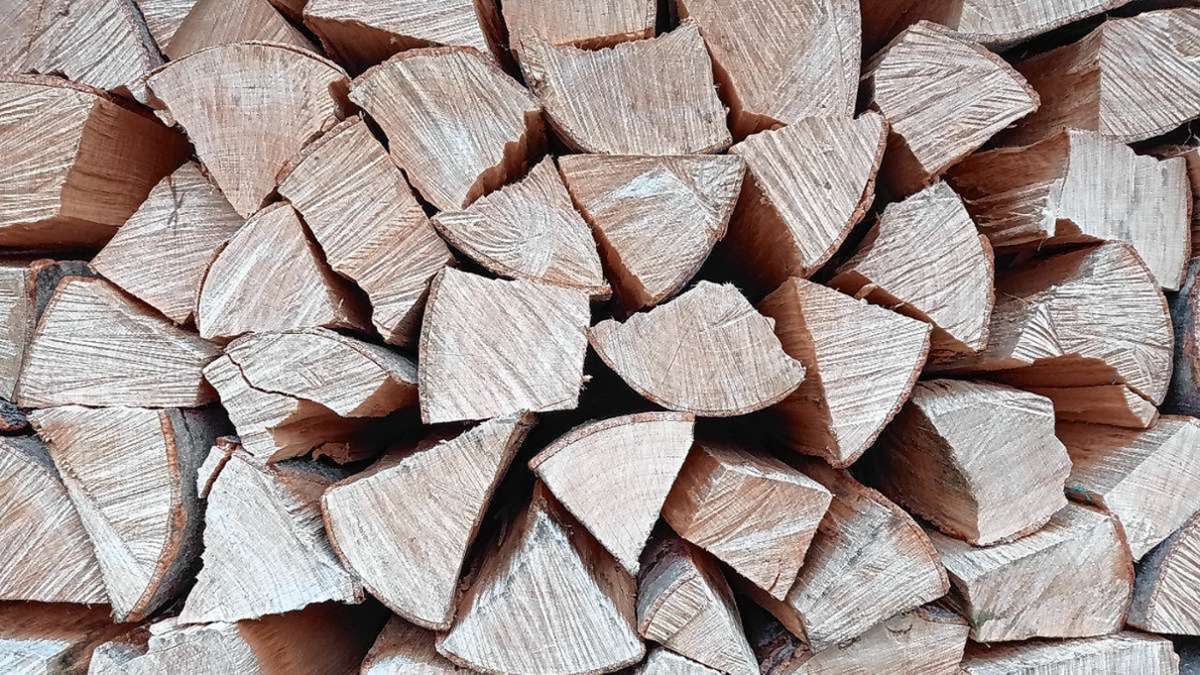 Schliengen: Polterholz aus Buche und Esche kommt unter den Hammer