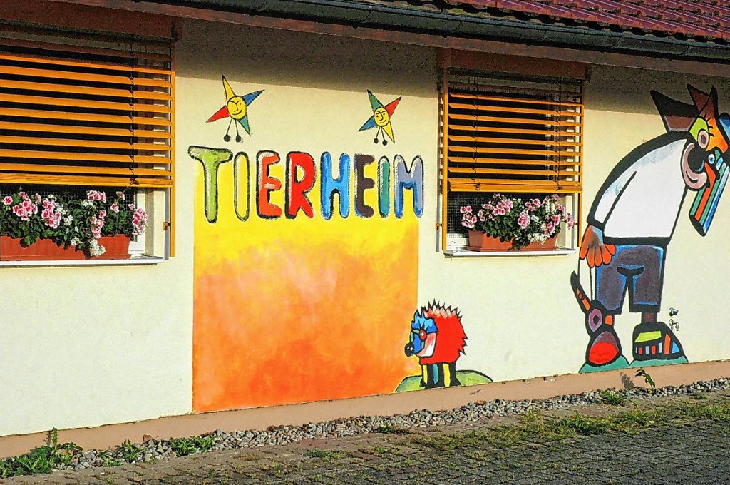 Rheinfelden: Tierheim bittet um Silvesterruhe