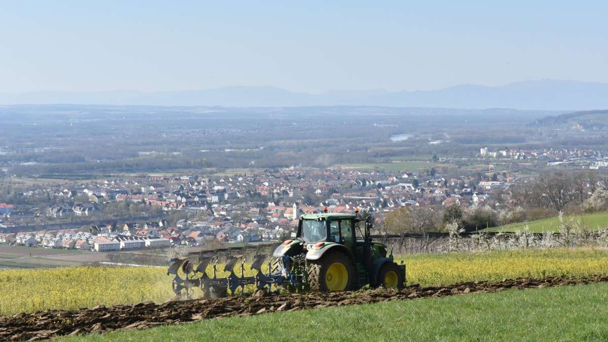 Kreis Lörrach: Damit Bauern konkurrenzfähig bleiben