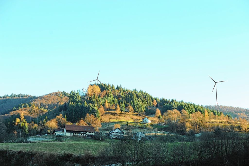 Malsburg-Marzell: Herausforderung Naturschutz