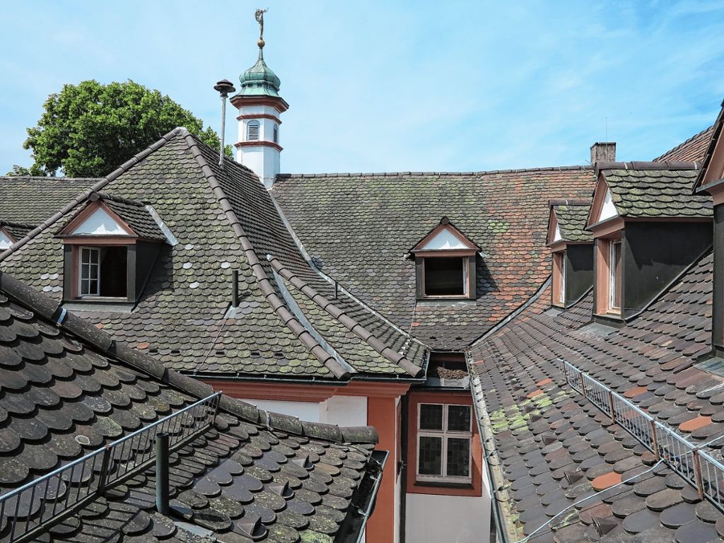 Schliengen: Schlossdach muss repariert werden