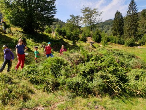 Im Rahmen der Junior-Ranger-Sommer-Tagen gab es auch einen Landschaftspflegeeinsatz im Menzenschwander Tal. Foto: zVg/Biosphärengebiet Schwarzwald Foto: Die Oberbadische