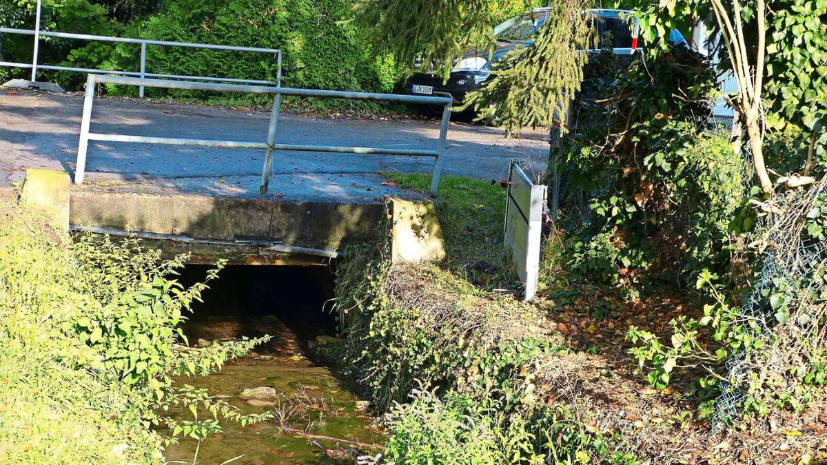Lörrach: Brombacher Ortschaftsrat für Hochwasserrückhaltebecken