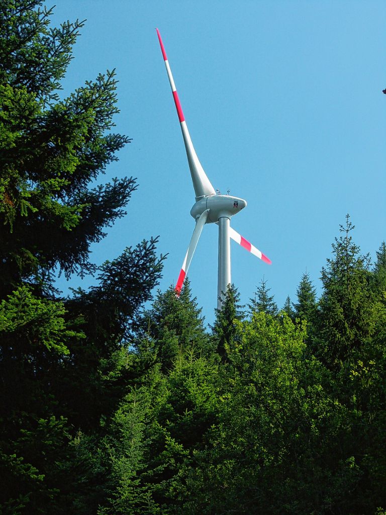 Schönau: Windkraft: Applaus für die Räte