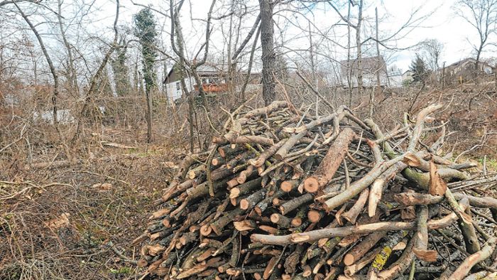Eimeldingen: Bürger klagen über zu viele Baumfällungen