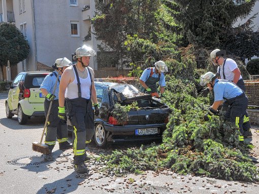 In der Unteren Hartmattenstraße begrub ein umgestürzter Baum einen Kleinwagen unter sich. 
Fotos: Alexander Anlicker Foto: Die Oberbadische