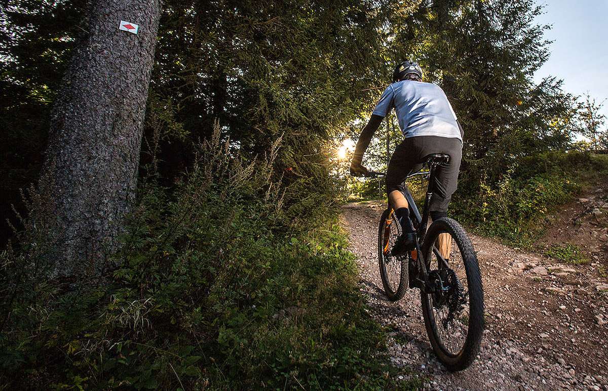 Der Verein möchte die Interessen der Mountainbiker im Landkreis Lörrach bündeln. Foto: Kristoff Meller