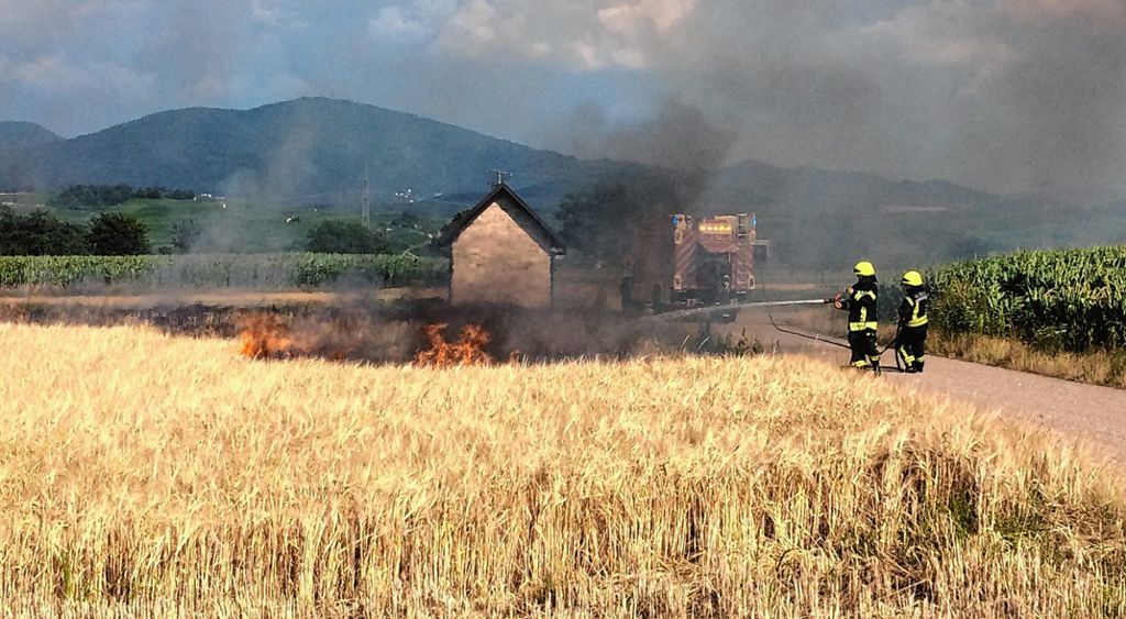 Neuenburg: Getreidefeld bei Neuenburg steht in Flammen