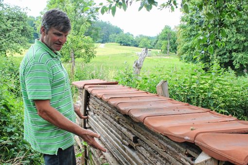 Ein paar übereinander geschichtete Bretter und obendrauf Ziegel: Horst Spreen erklärt in seinem Garten, wie einfach es ist, wohnliche Hohlräume für Tiere zu schaffen. Foto: Weiler Zeitung