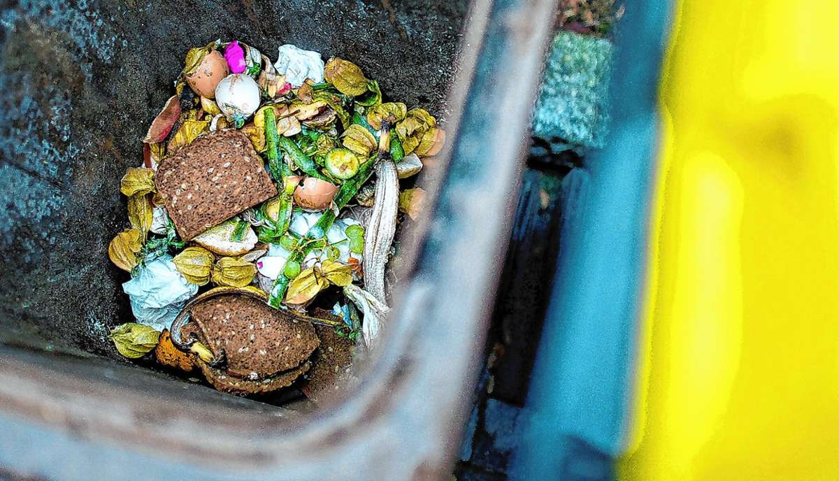 Kreis Lörrach: Vom falschen Müll befreien
