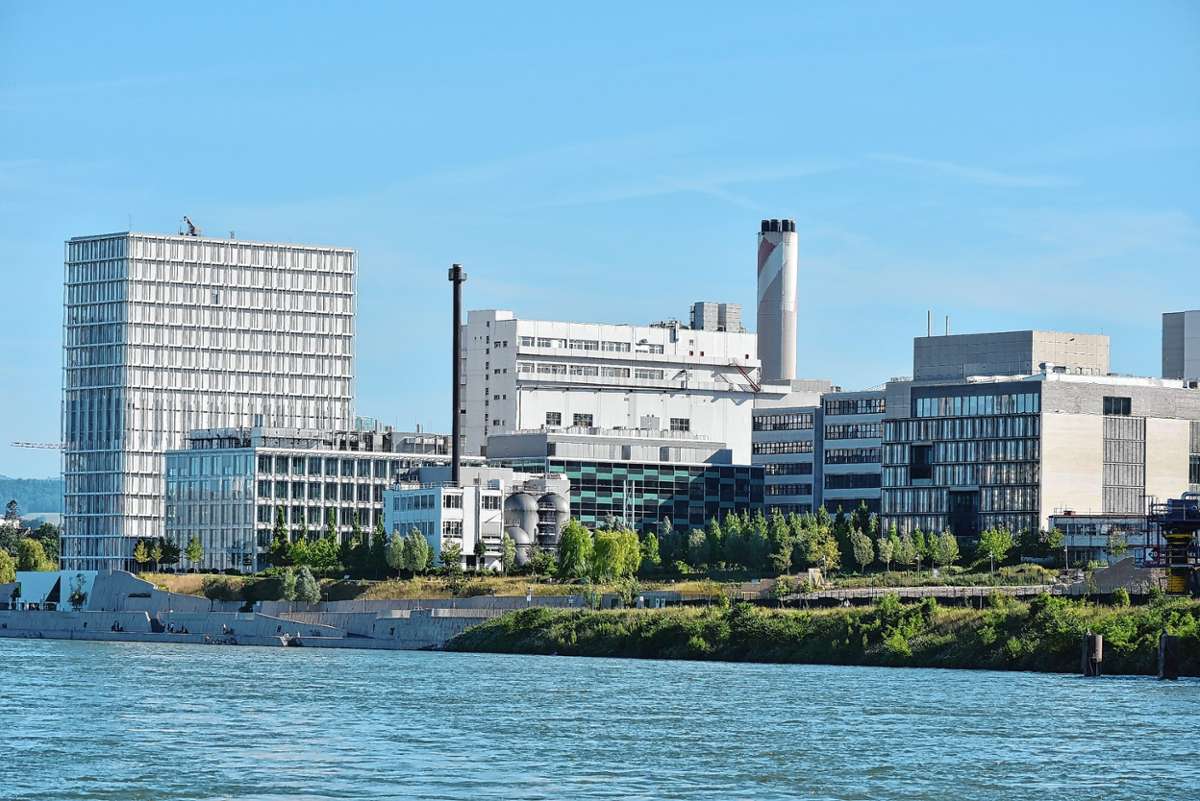 Der Pharma-Riese Novartis vom Rhein aus gesehen                                                                               Foto: Michael Werndorff