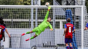 FC Basel: Argumente sammeln für das große Ziel
