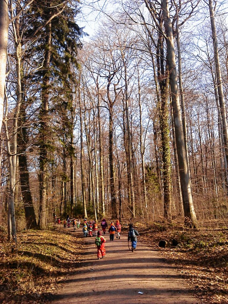 Müllheim: Weichen für Waldkindergarten